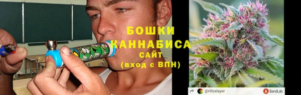 соль ск Няндома