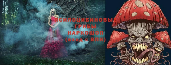 меф Нягань
