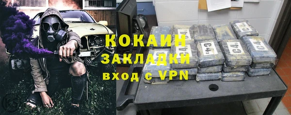 соль ск Няндома