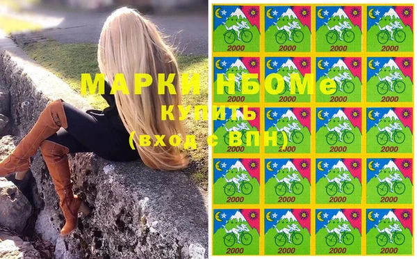соль ск Няндома