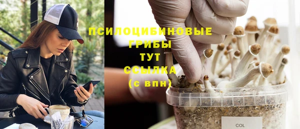 МДПВ Нязепетровск