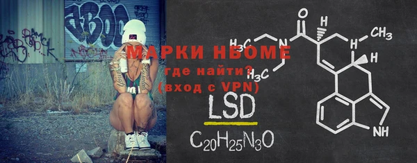 соль ск Няндома