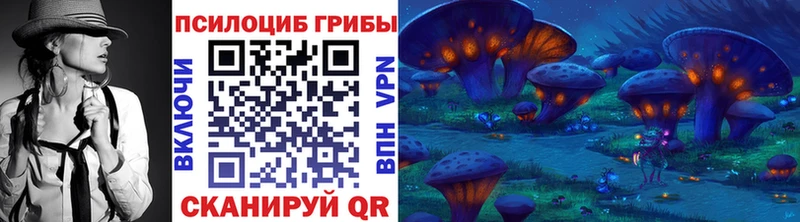 mega сайт  Шимановск  Псилоцибиновые грибы Psilocybine cubensis 